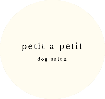 【四日市市のトリミングサロン】dog salon わんちゃんに寄り添う貸切空間｜petit a petit